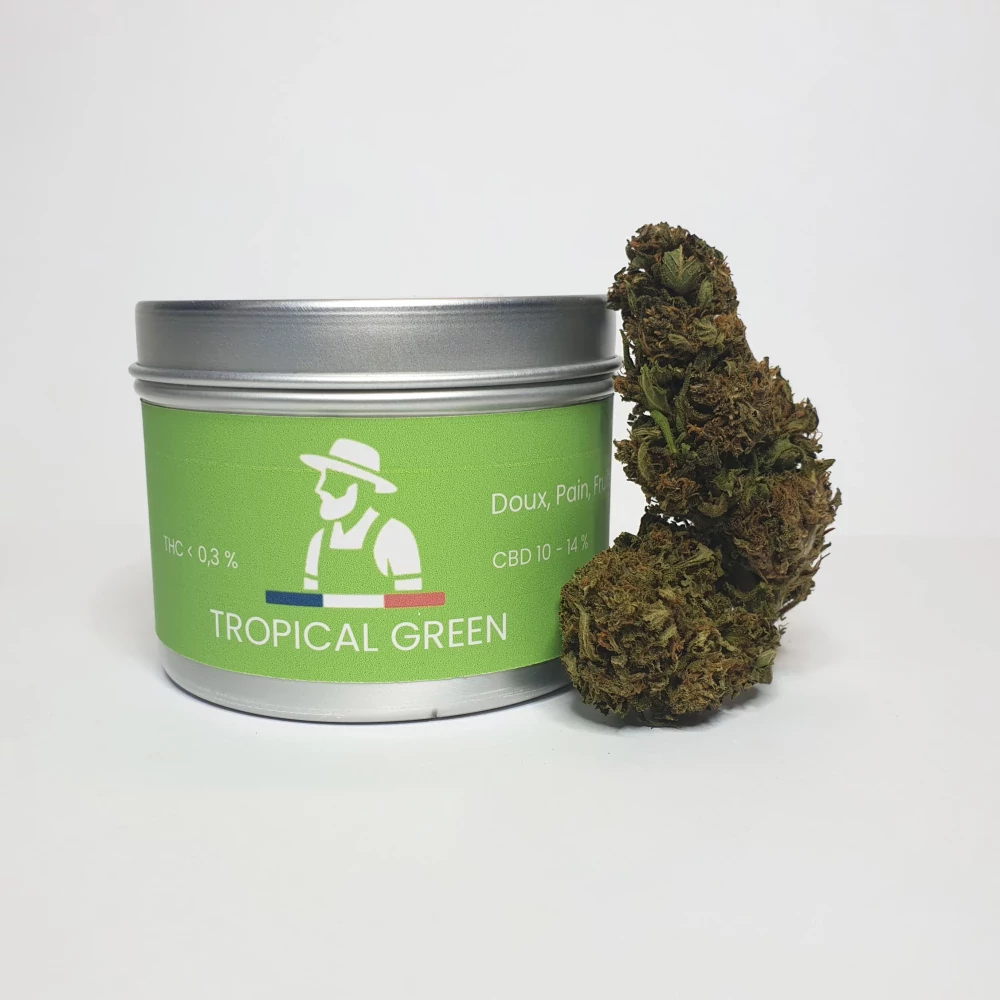 Tropical Green